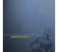 Scott Feiner - View from Below