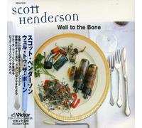 Scott Henderson - Well to the Bone
