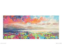 Scott Naismith (Resonant colour) 30 x 60cm Art Print