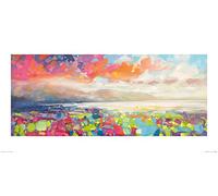 Scott Naismith (Resonant colour) 50 x 100cm Art Print