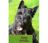 Scottie/Scottish Terrier Dog Birthday Card