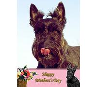 Scottie/Scottish Terrier Dog Mothers Day Card