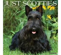 Scotties 2026 12" x 12" Wall Calendar