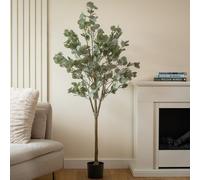 Scottish Everlastings 150cm Eucalyptus Tree
