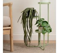 Scottish Everlastings 99cm Trailing Rhipsalis Paradox Cactus in Black Plastic Pot