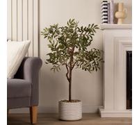 Scottish Everlastings Ltd 110cm Olive Tree in ceramic pot in Green Scottish Everlastings Ltd Green