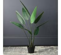 Scottish Everlastings Ltd 110cm Real Touch Bird of Paradise in Green Scottish Everlastings Ltd Green