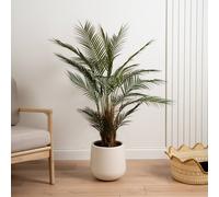 Scottish Everlastings Ltd 125cm Palm Tree in White Pot in Green Scottish Everlastings Ltd Green