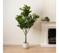 Scottish Everlastings Ltd 150cm Fiddleleaf Tree in Pot KD in Green Scottish Everlastings Ltd Green