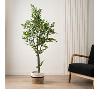 Scottish Everlastings Ltd 155Cm Real Touch Mini Ficus Tree in Green Scottish Everlastings Ltd Green
