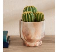Scottish Everlastings Ltd 20cm Cactus in Cement Pot in Green Scottish Everlastings Ltd Green