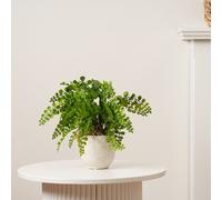 Scottish Everlastings Ltd 28cm Fern in Speckled Ceramic Pot in Green Scottish Everlastings Ltd Green