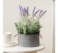 Scottish Everlastings Ltd 37.5cm Lavender in Iron Pot Scottish Everlastings Ltd Lavender