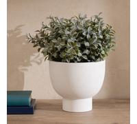 Scottish Everlastings Ltd 37cm Foliage in Footed Pot in Green Scottish Everlastings Ltd Green