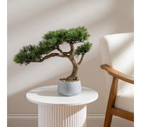 Scottish Everlastings Ltd 45cm Pine Tree Bonsai in Cement Effect Pot in Green Scottish Everlastings Ltd Green