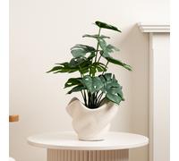 Scottish Everlastings Ltd 45cm Variegated Monstera in Cement Shell Pot in Green Scottish Everlastings Ltd Green
