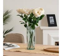 Scottish Everlastings Ltd 50cm Cream Cabbage Rose Stem 6 PK Scottish Everlastings Ltd Cream