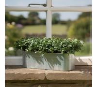 Scottish Everlastings Ltd 51x23cm Boxwood Trough UV in Green | Size: 51x23 cm Scottish Everlastings Ltd Green 51x23 cm