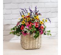Scottish Everlastings Ltd 52cm Mixed Floral Container in Yellow Scottish Everlastings Ltd Yellow