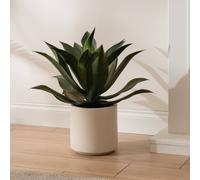 Scottish Everlastings Ltd 57cm Oversized Agave in Green Scottish Everlastings Ltd Green
