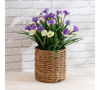 Scottish Everlastings Ltd 58cm Crocus in Seagrass Basket in Purple Scottish Everlastings Ltd Purple