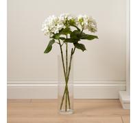 Scottish Everlastings Ltd 64cm Hydrangea Stem Pack 3 in White Scottish Everlastings Ltd White