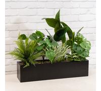 Scottish Everlastings Ltd 65cm Mixed Outdoor Container in Green Scottish Everlastings Ltd Green