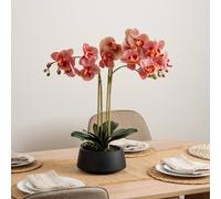 Scottish Everlastings Ltd 65cm Real Touch Phalaenopsis Orchid in Black Pot in Pink Scottish Everlastings Ltd Pink
