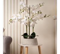 Scottish Everlastings Ltd 66cm Real Touch 3-Stem Orchid in Grey Terrazzo Pot in White Scottish Everlastings Ltd White