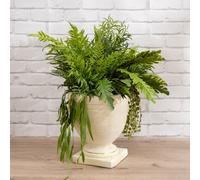 Scottish Everlastings Ltd 70cm Mixed Fern Urn in Green Scottish Everlastings Ltd Green