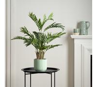 Scottish Everlastings Ltd 70cm Real Touch Areca Palm Tree in Green Scottish Everlastings Ltd Green