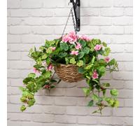 Scottish Everlastings Ltd 80cm Pink Geranium Hanging Basket Scottish Everlastings Ltd Pink