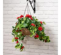 Scottish Everlastings Ltd 80cm Red Geranium Hanging Basket Scottish Everlastings Ltd Red