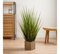Scottish Everlastings Ltd 85cm Grass in Seagrass Square Pot in Green Scottish Everlastings Ltd Green