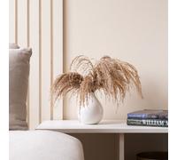 Scottish Everlastings Ltd Pampas in White Vase in Light Brown Scottish Everlastings Ltd Light Brown