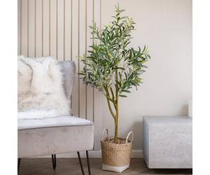 Scottish Everlastings Ltd. Scottish Everlastings 125Cm Artificial Olive Tree In Basket