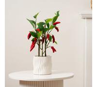 Scottish Everlastings Ltd. Scottish Everlastings 49Cm Artificial Chilli Plant In Ceramic Pot