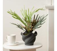 Scottish Everlastings Ltd. Scottish Everlastings 53Cm Artificial Sea Greens In Cement Shell Pot