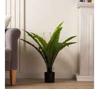 Scottish Everlastings Ltd. Scottish Everlastings 70Cm Real Touch Artificial Bird's Nest Fern