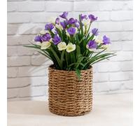 Scottish Everlastings Ltd. Scottish Everlastings Artificial 58Cm Crocus In Seagrass Basket