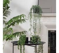 Scottish Everlastings Set of 3 Trailing Plants in Matte Black Ceramic Pots