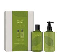 Scottish Fine Soaps Coriander & Lime Leaf Gift Set