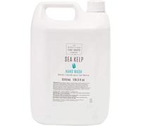 Scottish Fine Soaps Sea Kelp Hand Wash 1 x 5 Litres