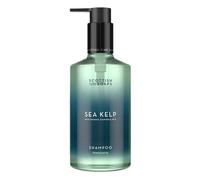 Scottish Fine Soaps Sea Kelp Shampoo 300ml