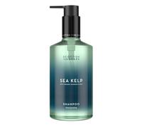 Scottish Fine Soaps Sea Kelp Shampoo 300ml - Nourishing Hair & Scalp Shampoo with Sea Kelp, Magnesium and Seaweed Extracts