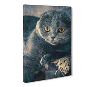 Scottish Fold Cat Canvas Print | Gallery Wrapped 30mm Frame Wall Art | 30x20 inches | Ready to Hang | Modern Animals Picture | Living Room Bedroom Lounge Office
