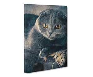 Scottish Fold Cat Canvas Print | Gallery Wrapped 30mm Frame Wall Art | 30x20 inches | Ready to Hang | Modern Animals Picture | Living Room Bedroom Lounge Office