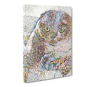 Scottish Fold Cat Modern Bg Canvas Print | Gallery Wrapped 30mm Frame Wall Art | 20x14 inches | Ready to Hang | Modern Animals Picture | Living Room Bedroom Lounge Office