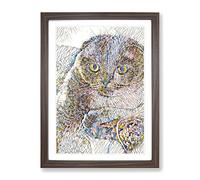 Scottish Fold Cat Modern Bg Framed Print | A2 Walnut Framed Wall Art | Ready to Hang | Modern Animal Picture | Living Room Bedroom Lounge Office