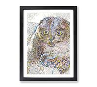 Scottish Fold Cat Modern Bg Framed Print | A4 Black Framed Wall Art | Ready to Hang | Modern Animal Picture | Living Room Bedroom Lounge Office